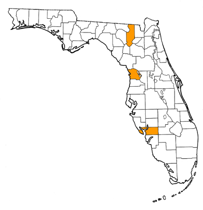 Figure 1. Map of Florida, with highlights indicating counties where fossils of this species have been found.