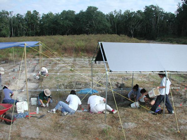 Figure 1. Museum field crew excavates the upper, sandy layer at Tyner Farm in October 2001.