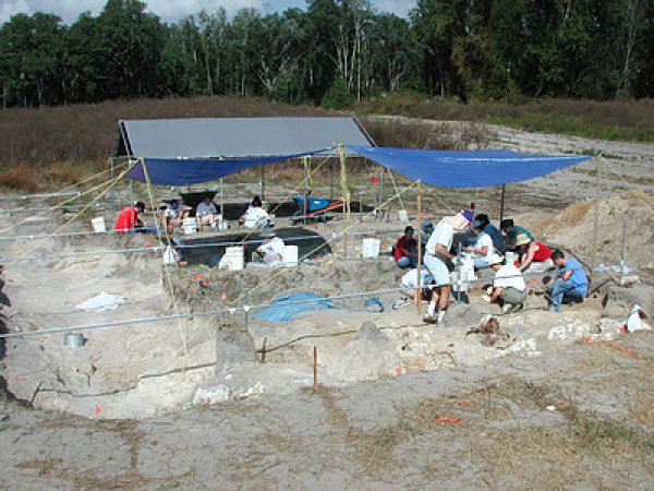 Figure 1. Museum field crew excavates the upper, sandy layer at Tyner Farm in October 2001.