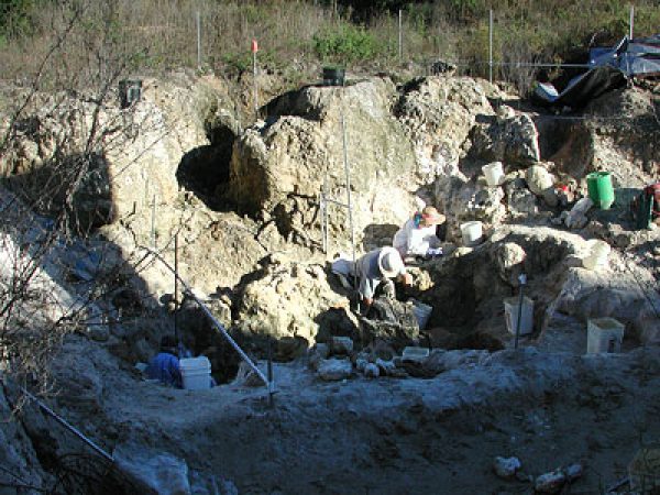 Figure 7. Museum staff member Art Poyer working at Tyner Farm in November 2003 along with volunteers Mary Lynch (left) and Barbara Toomey (right). In much of the site all of the clay has been removed, revealing the irregular topography of the limestone surface.