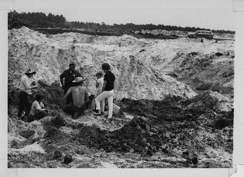 Figure 5. Overview of the West Palm Beach fossil dig, 1969.