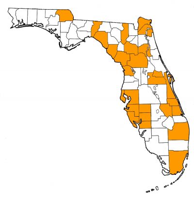 Figure 1. Map of Florida, with highlights indicating counties where fossils of this species have been found.