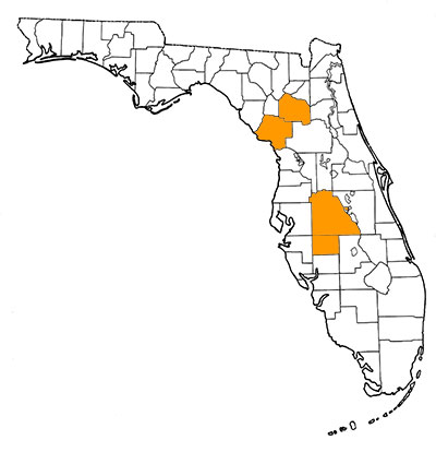 Figure 1. Map of Florida, with highlights indicating counties where fossils of the species have been found