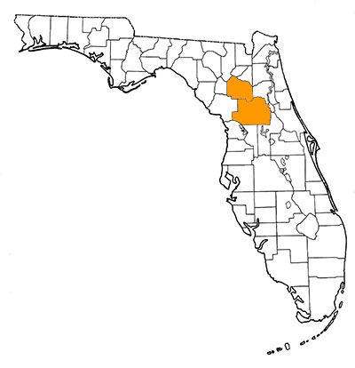 Figure 1. Map of Florida, with highlights indicating counties where fossils of the species have been found