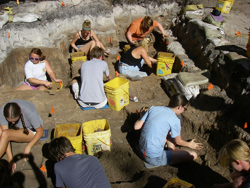 Students excavating