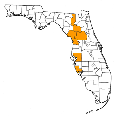 Figure 1. Map of Florida, with highlights indicating counties where fossils of this species have been found.