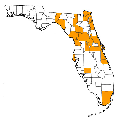 Figure 1. Map of Florida, with highlights indicating counties where fossils of the species have been found