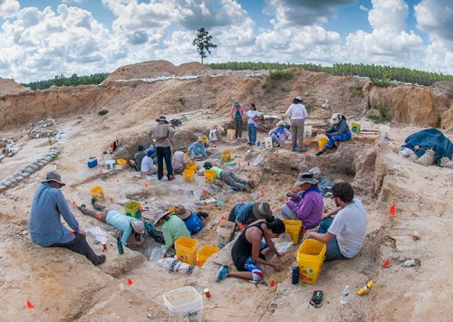 fossil dig site