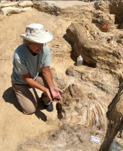 Susan Harris holding a fossil