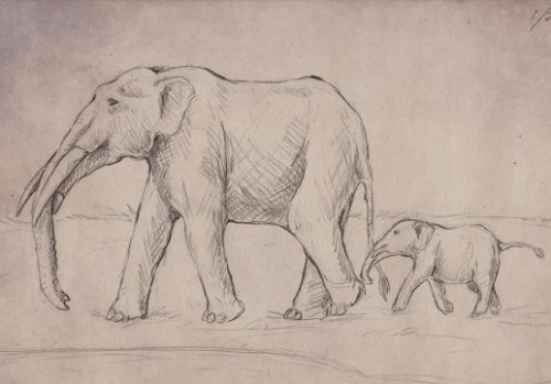 drawing of gomphothere mother and baby