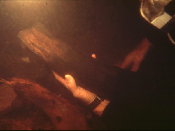 diver holding a mastodon tusk