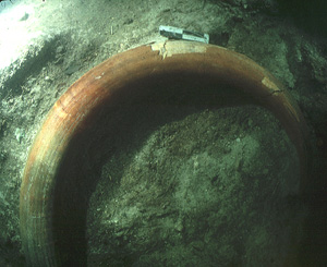 mastodon tusk found underwater