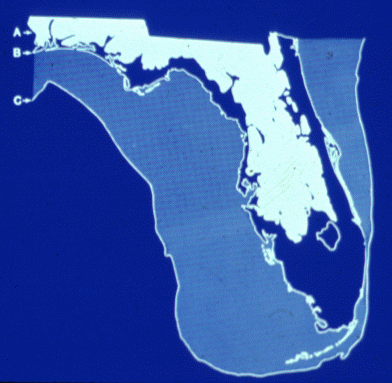 changing coast lines of Florida over time