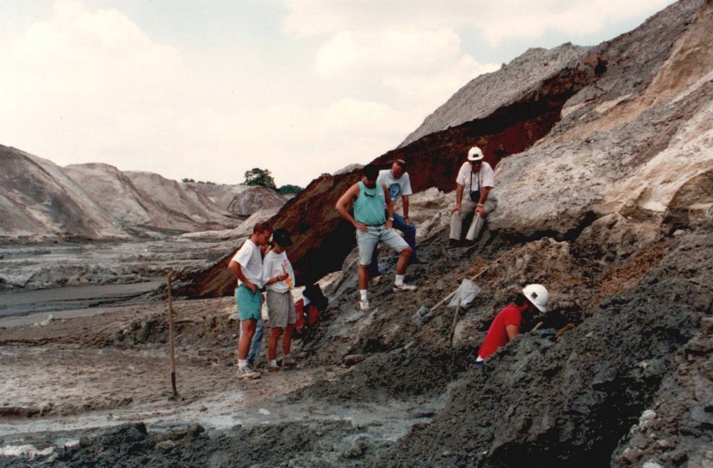 several crew members examining a fossil in the field