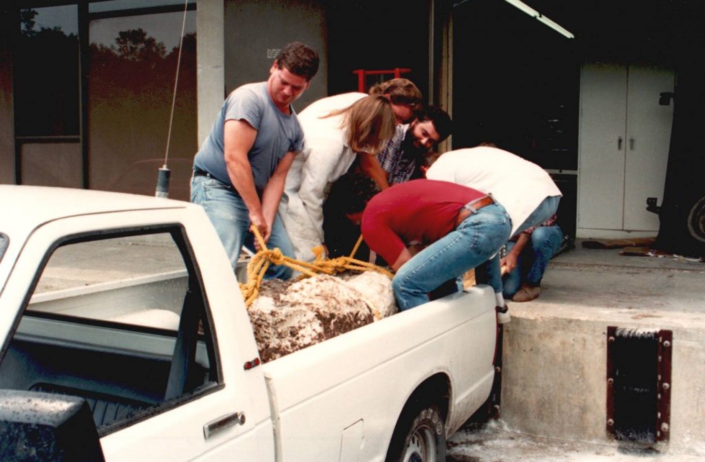 crew members hauling fossil jacket out of a truck bed