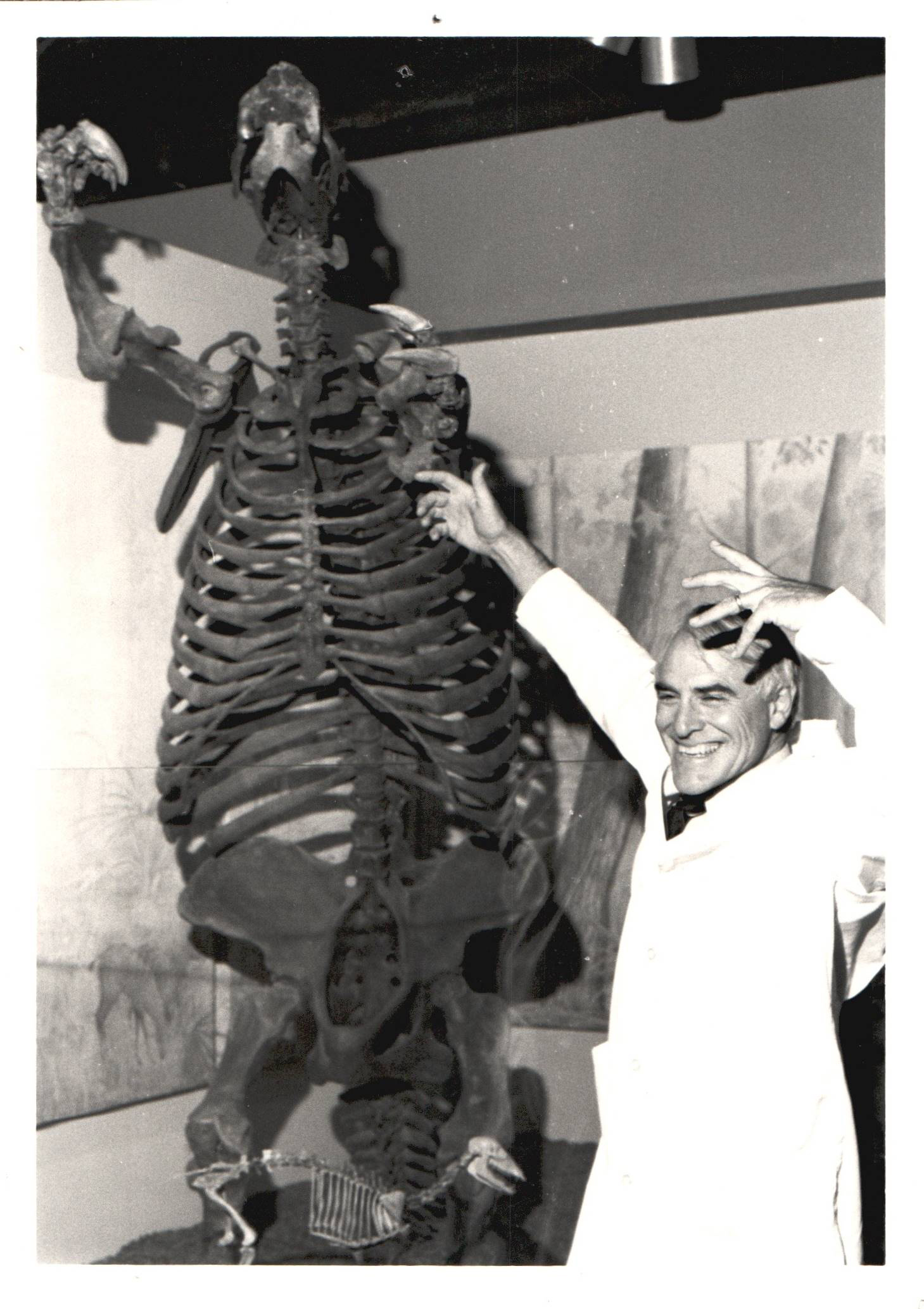 Dave Webb posing with arms up alongside Thinobadistes skeletal mount, circa 1970s
