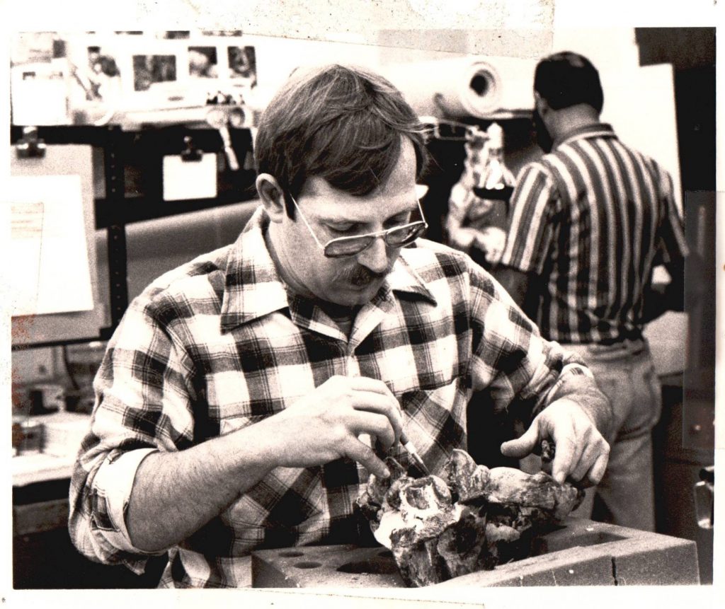 Russell McCarty, Fossil Preparator from 1981-2006, at work