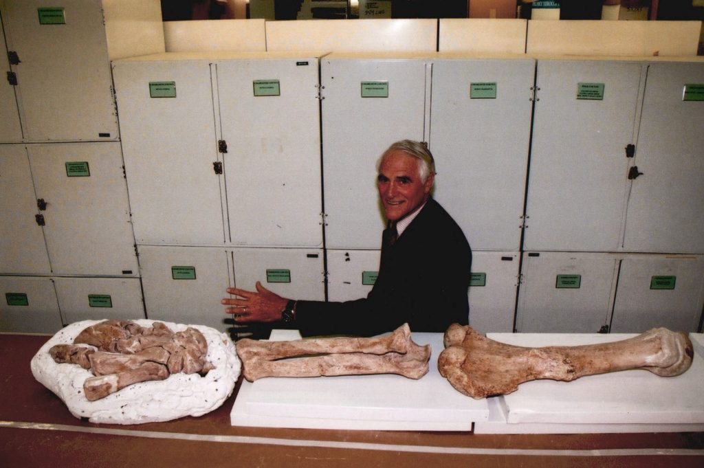 David Webb posing with his arm next to a reconstructed fossil sloth forelimb, March 20, 2000
