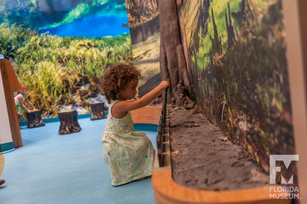 child playing in exhibit