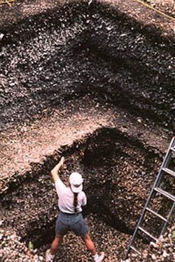 Pineland_excavations