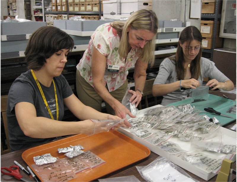 Internships and Noncredit Study Environmental Archaeology