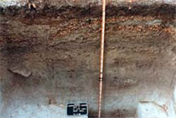 A soil profile from Lake Monroe