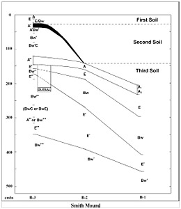 Figure 5-3. Profile of Smith Mound showing stacked soils and soil morphology from each of the three units, B-1, B-2, B-3; cmbs is centimeters below surface. Diagram by Sue Ellen Hunter, courtesy University of Florida, Institute of Archaeology and Paleoenvironmental Studies.