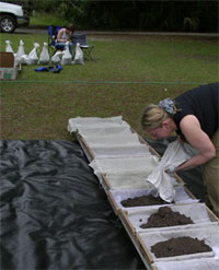 Donna Ruhl processing samples from St. Catherines Island's Shell Ring