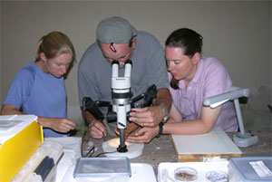 Emery, Erin Thornton, and Irv Quitmyer