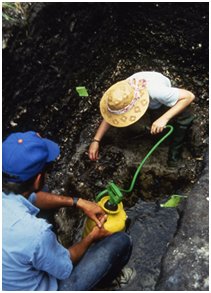 Excavation at Old Mound's waterlogged deposits with W. Marquardt and E. LeCompte, 1992.