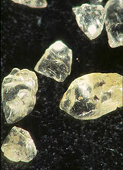 Microslide of sand grains.