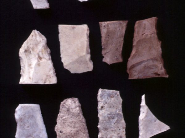 flaked stones from site