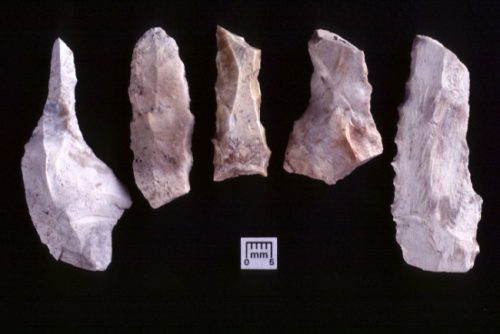 Stone flakes that have been made into scrapers or cutters.