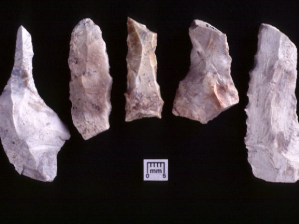 Stone flakes that have been made into scrapers or cutters.