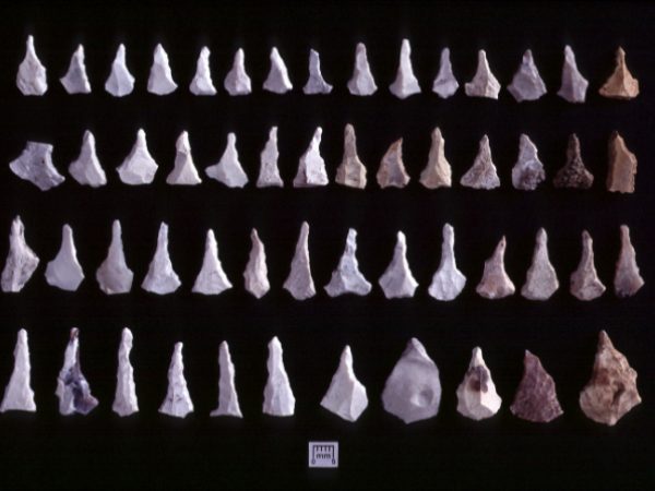 stone artifacts from site