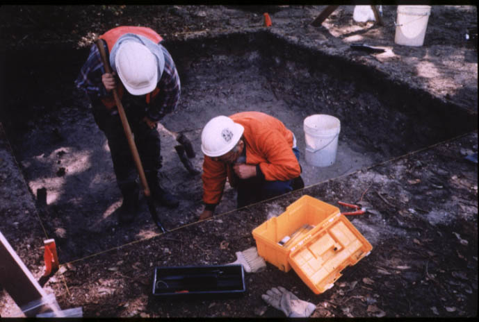 Excavators at dig site