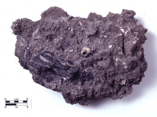 Hearth remains with bones