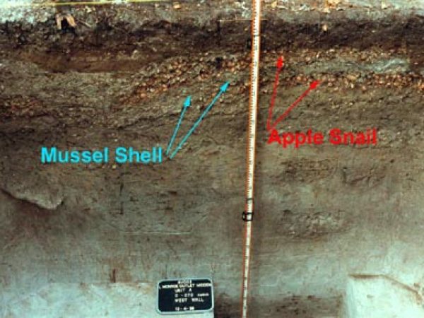 two meter profile of Unit A that exposes the midden