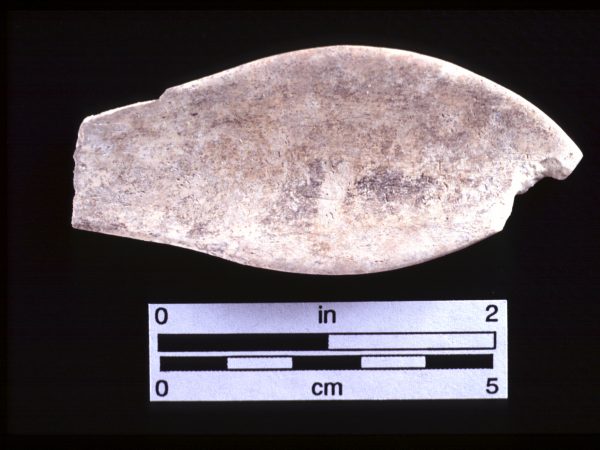 artifact manufactured from marine shell