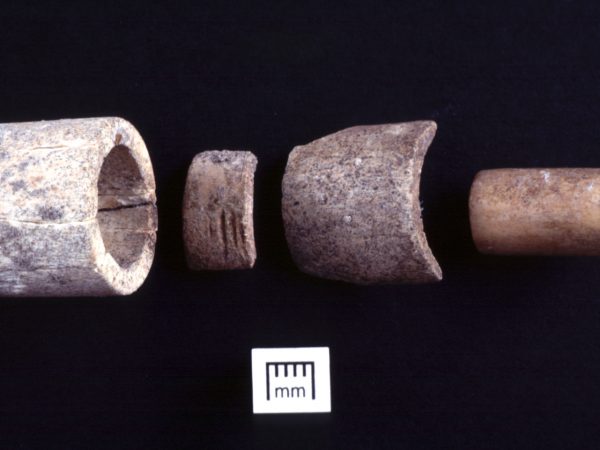 A suite of bone artifacts cut from the long bone shafts of large mammals.