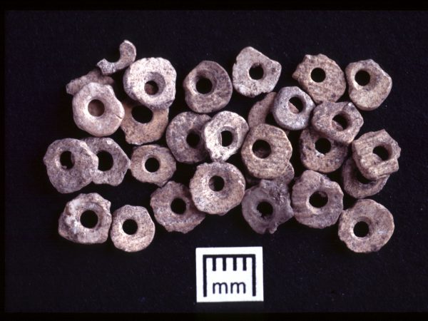 Shell beads