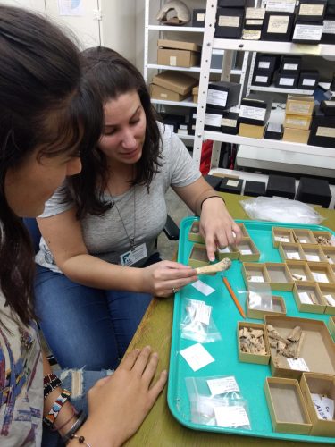 Arianne Boileau and her mentee Savannah Hall discussing bone identifications