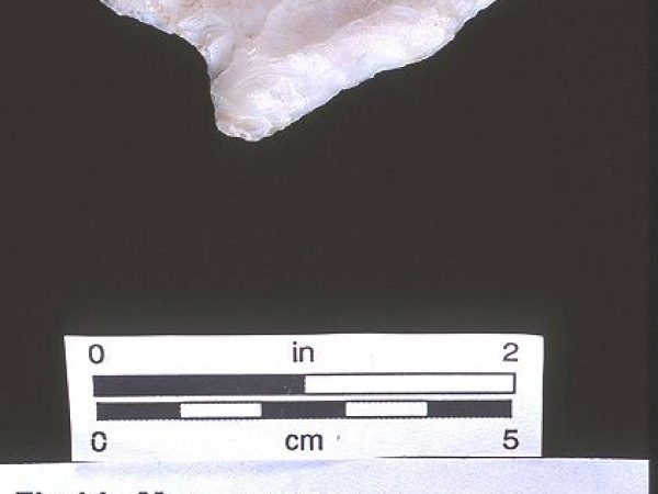 Knife or projectile point, silicified coral, 5500-3000 B.C., Cash Mound, Charlotte Co. (88-1-1)