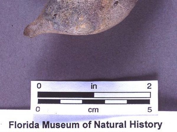 Knife or projectile point, chert, A.D. 550-700, Pineland, Lee Co. (92-5-2/1)