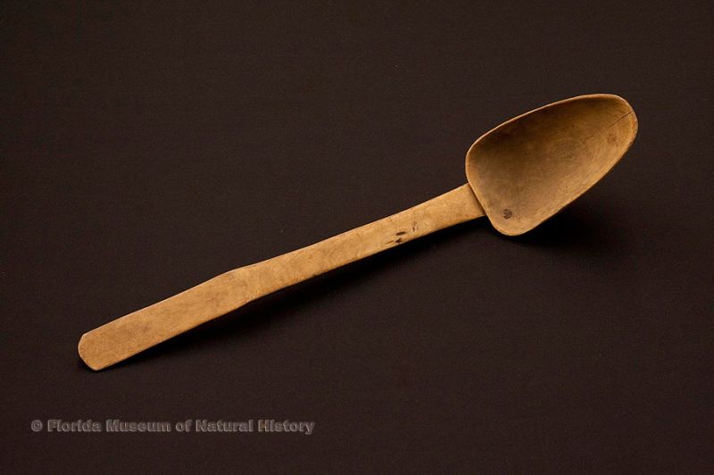 Sofkee spoon, Seminole, wood, late 19th century, 23.4” long (88-6-1).