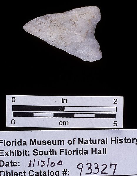 Knife or projectile point, quartzite, 5000-2000 B.C., unnamed midden near Key West, Monroe Co. (93327)