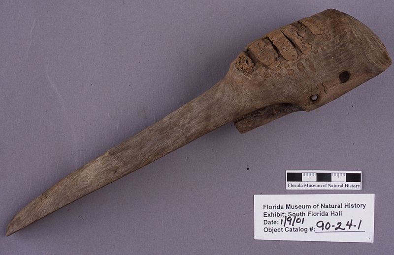 Carved crane head, cypress wood, A.D. 850-1000, Pineland, Lee Co. (90-24-1)