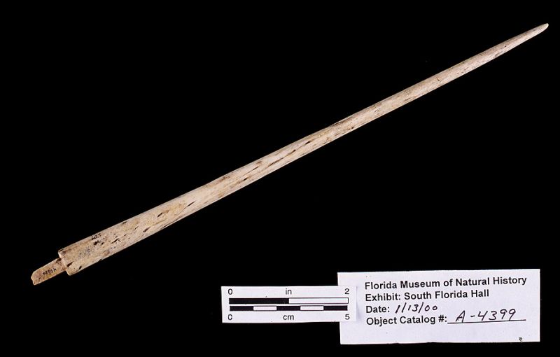 Peg-topped pin, alligator bone, A.D. 700-1500, Key Marco, Collier Co. (A-4399)
