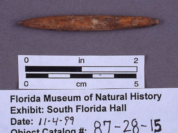 Throat gorge or point, deer bone, A.D. 950-1050, Josslyn Island, Lee Co. (87-28-15)