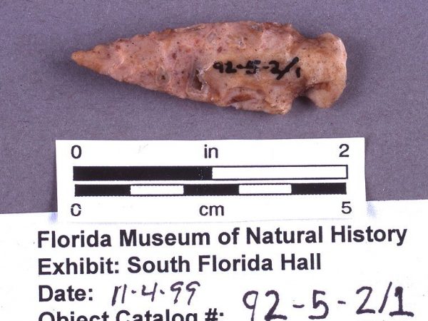 Knife or projectile point, chert, A.D. 550-700, Pineland, Lee Co. (92-5-2/1)